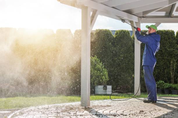 Best Roof Washing  in Enoch, UT